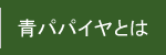 青パパイヤとは